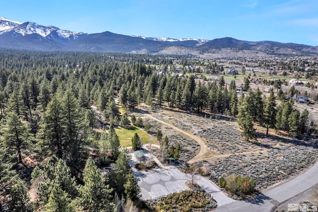 16375 Callahan Rd, Reno, NV 89511 - bird's eye view of a mountain backdrop and a heavily wooded area