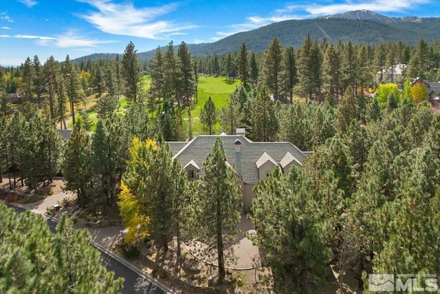 5680 Lausanne Dr, Reno, NV 89511 - view from above of property with a mountainous background and a forest