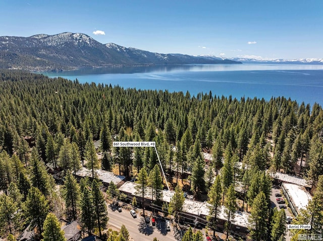 861 Southwood Blvd Unit 8, Incline Village, NV 89451 - bird's eye view of a forest and a water and mountain view