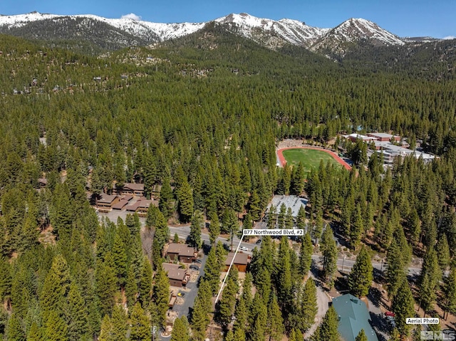 877 Northwood Blvd Unit 2, Incline Village, NV 89451 - aerial overview of property's location featuring a forest and a mountainous background