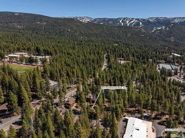 877 Northwood Blvd Unit 2, Incline Village, NV 89451 - aerial view of a heavily wooded area and a mountain backdrop