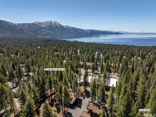 877 Northwood Blvd Unit 2, Incline Village, NV 89451 - bird's eye view of a heavily wooded area and a water and mountain view