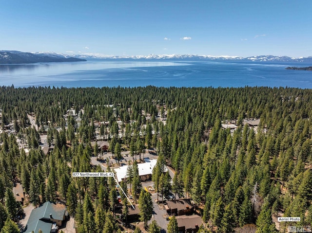 877 Northwood Blvd Unit 2, Incline Village, NV 89451 - bird's eye view of a forest and a water and mountain view