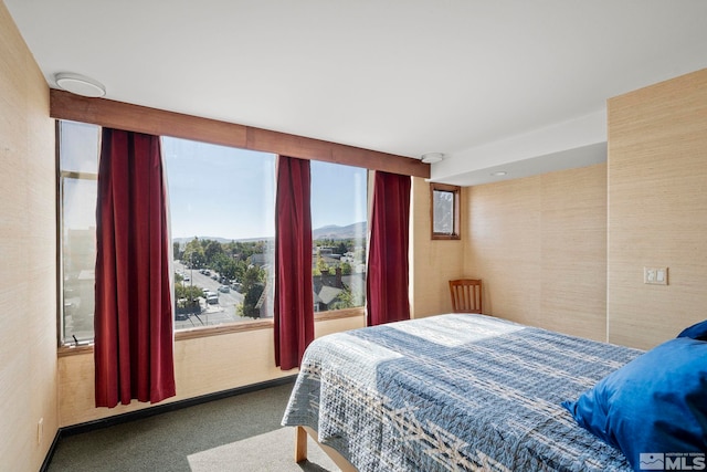 280 Island Ave Apt 802, Reno, NV 89501 - view of carpeted bedroom