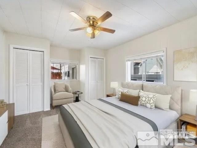 427 D St, Hawthorne, NV 89415 - carpeted bedroom with multiple closets and ceiling fan