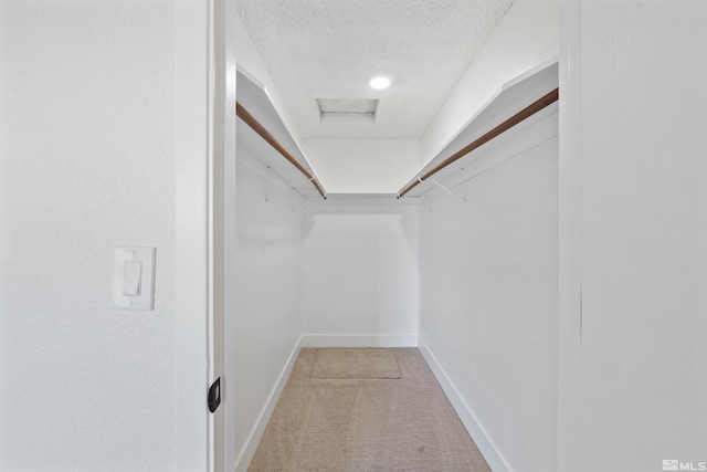 1309 Raeline Ln, Minden, NV 89423 - walk in closet featuring light carpet