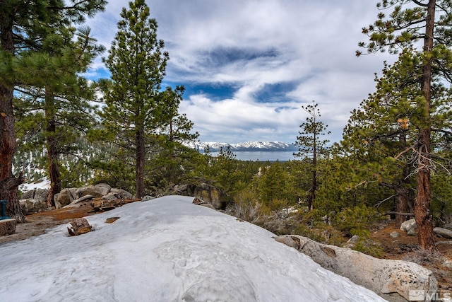 759 Boulder Ct Unit M, Stateline, NV 89449 - view of yard