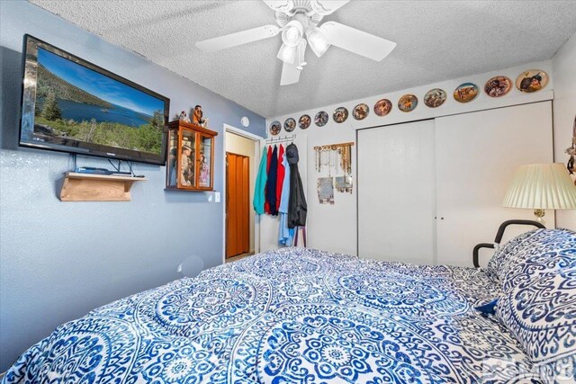 411 Paul Ave, Yerington, NV 89447 - photo 14