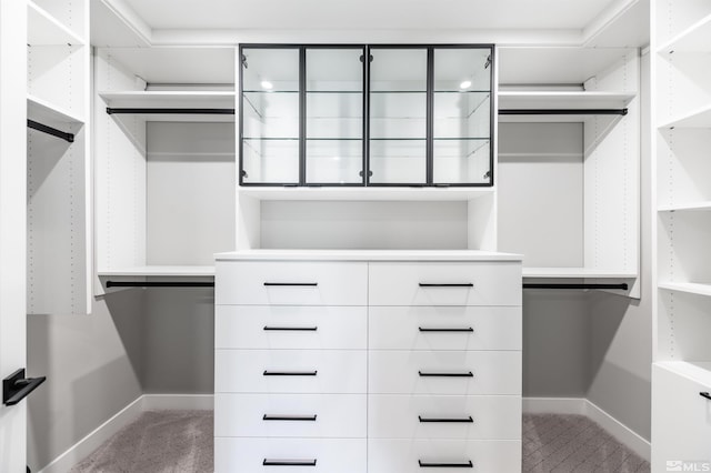 47 Campolina St Unit 23-1, Reno, NV 89511 - spacious closet with light carpet
