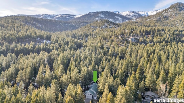  - view of mountain background with a heavily wooded area