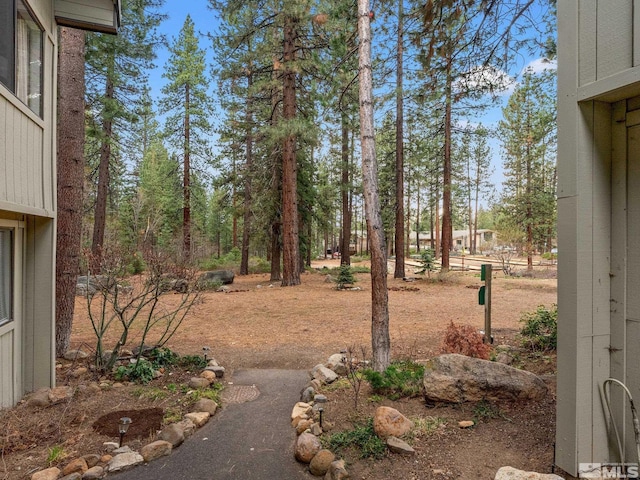 989 Tahoe Blvd Unit 91, Incline Village, NV 89451 - view of yard