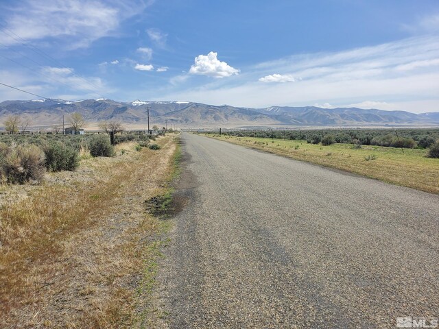 009-040-21 Muddy Rd, Winnemucca, NV 89445 - photo 4