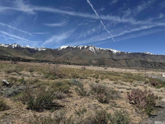 515 Eastside Ln, Coleville, CA 96107 - photo 1