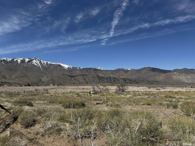 515 Eastside Ln, Coleville, CA 96107 - photo 4