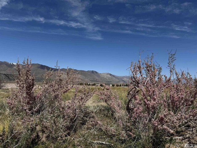 515 Eastside Ln, Coleville, CA 96107 - photo 5