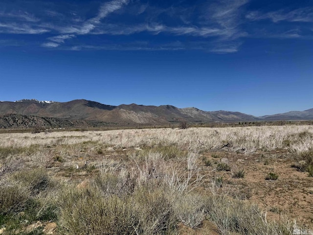 515 Eastside Ln, Coleville, CA 96107 - photo 7
