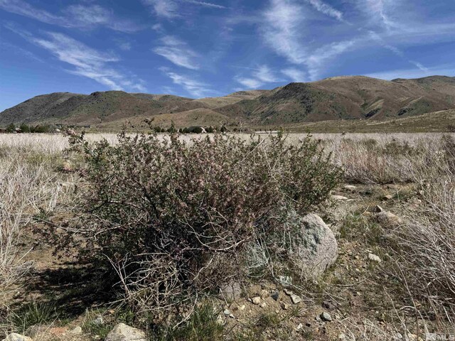 515 Eastside Ln, Coleville, CA 96107 - photo 8