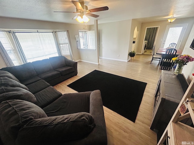 1808 Rock Ct, Carson City, NV 89701 - living area with a ceiling fan, healthy amount of natural light, and light wood-style flooring