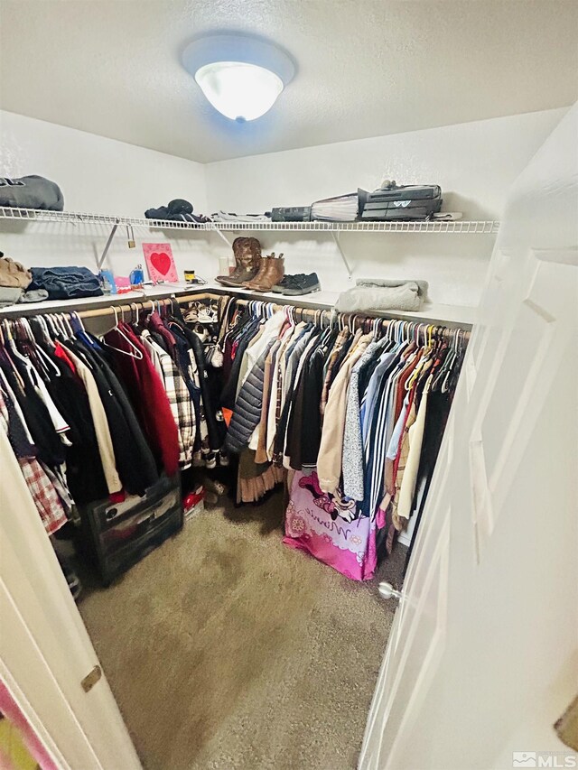 1808 Rock Ct, Carson City, NV 89701 - spacious closet featuring carpet floors