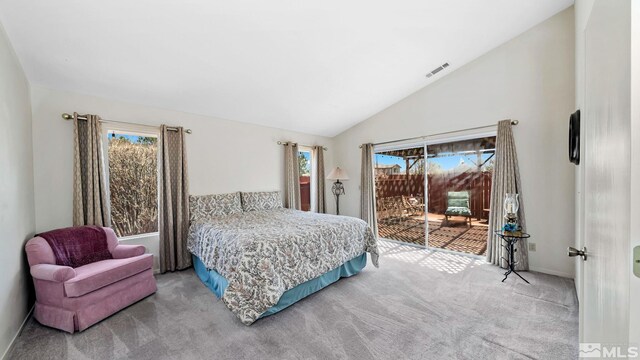 1099 Alyssum Ct, Minden, NV 89423 - photo 15