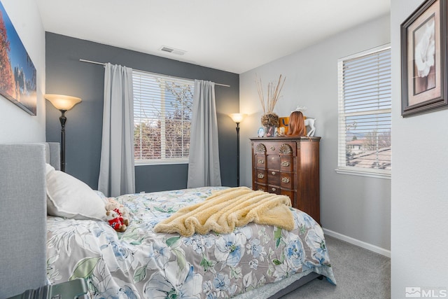 450 Ruffian Ct, Reno, NV 89521 - bedroom with carpet flooring and baseboards