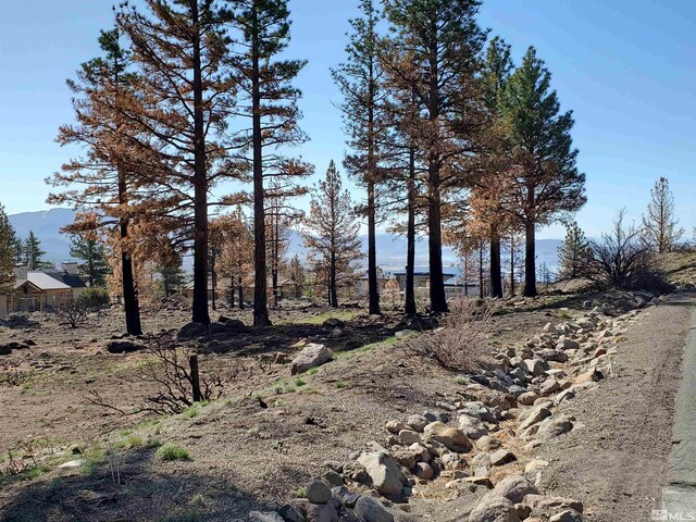 485 Mount Mahogany Ct, Reno, NV 89511 - photo 5