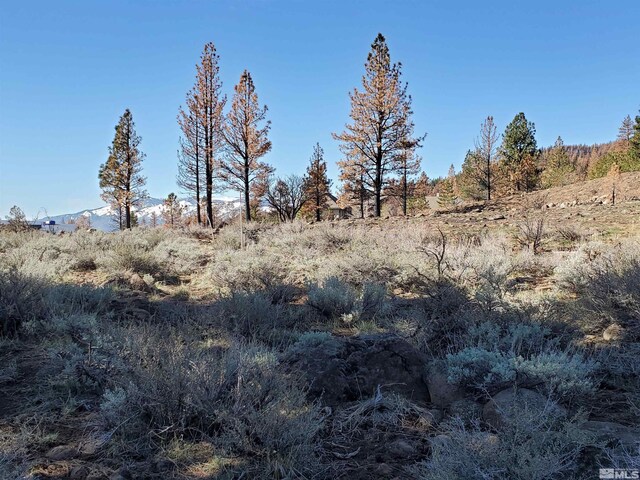485 Mount Mahogany Ct, Reno, NV 89511 - photo 6