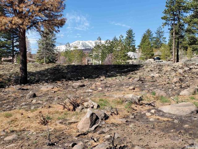485 Mount Mahogany Ct, Reno, NV 89511 - photo 7