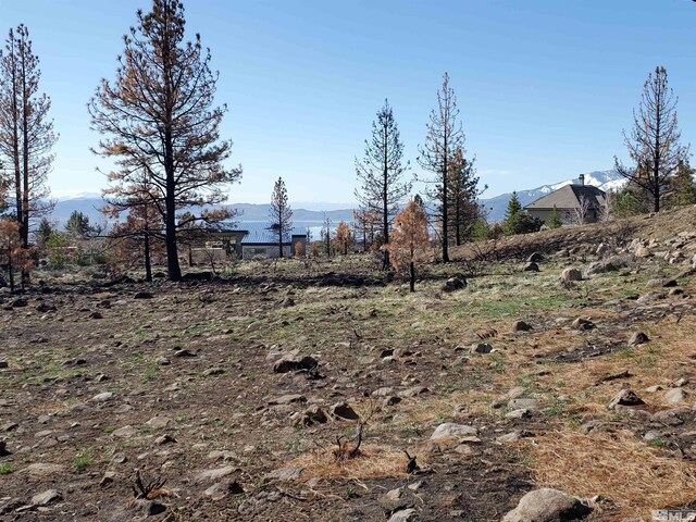 485 Mount Mahogany Ct, Reno, NV 89511 - photo 8