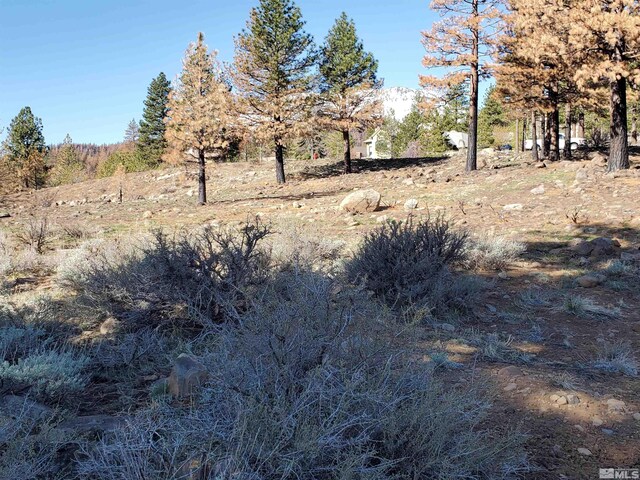 485 Mount Mahogany Ct, Reno, NV 89511 - photo 9