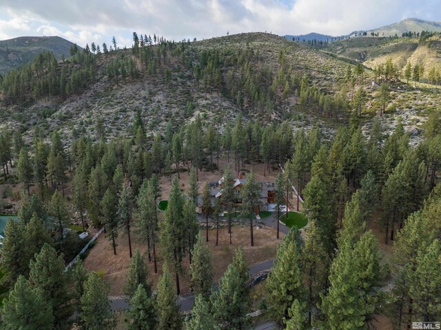 10 Franktown Ct, Reno, NV 89704 - photo 40