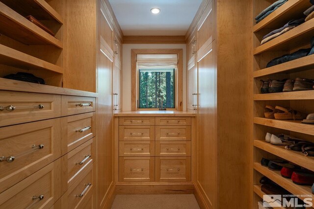 179 Yerington Cir, Glenbrook, NV 89413 - view of walk in closet
