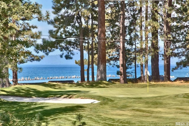 179 Yerington Cir, Glenbrook, NV 89413 - view of property's community with golf course view and a water view