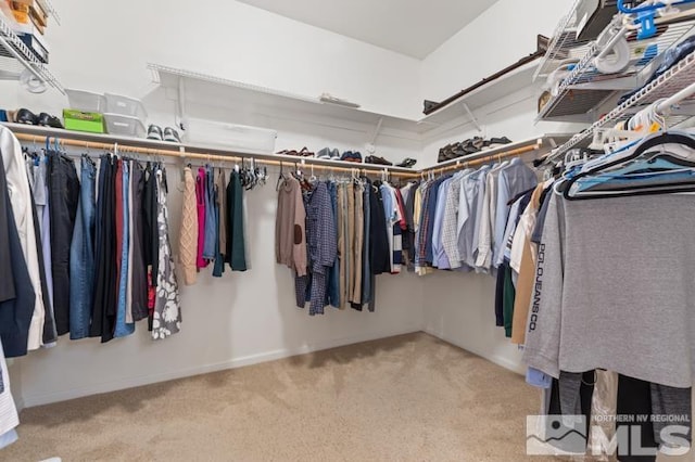 9900 Wilbur May Pkwy Unit 2704, Reno, NV 89521 - spacious closet featuring carpet flooring