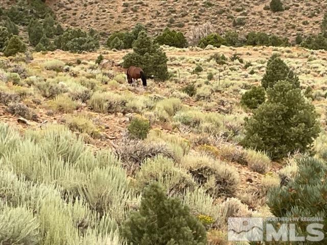 00 Western Skies, Reno, NV 89521 - photo 21