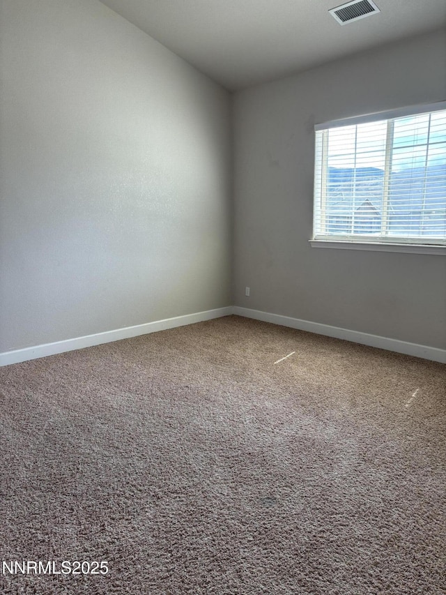 134 Denio, Dayton, NV 89403 - photo 10
