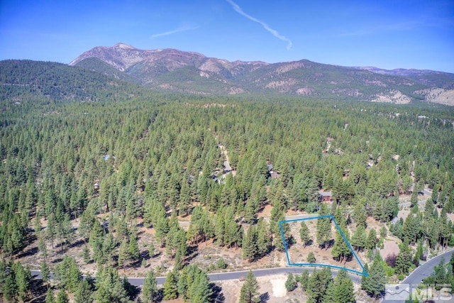20505 Margaux Rd, Reno, NV 89511