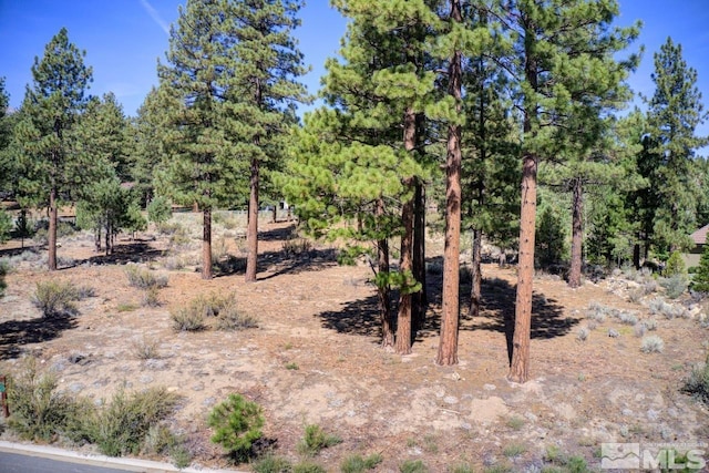 20505 Margaux Rd, Reno, NV 89511