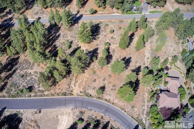20505 Margaux Rd, Reno, NV 89511
