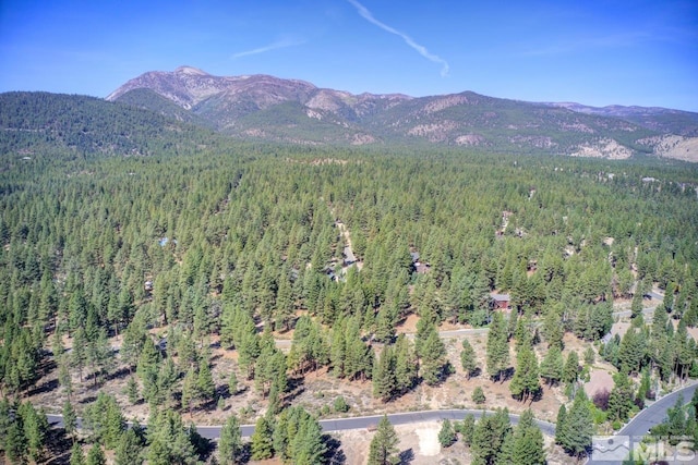 20505 Margaux Rd, Reno, NV 89511