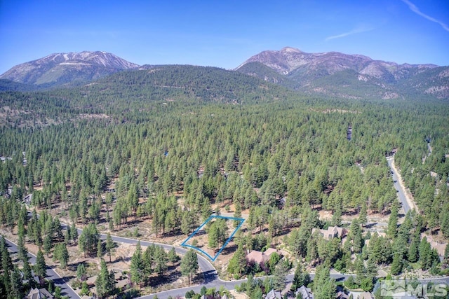 20505 Margaux Rd, Reno, NV 89511