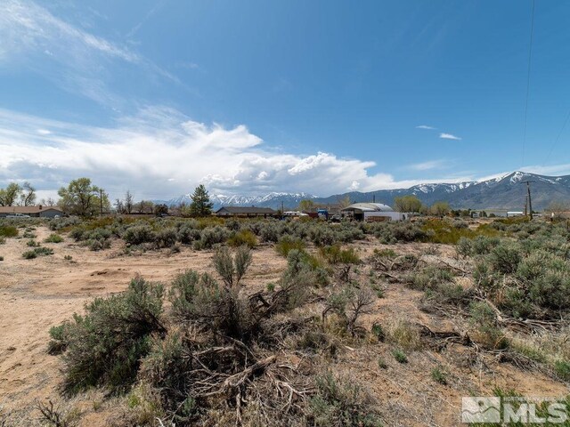 1354 Stephanie Way, Minden, NV 89423