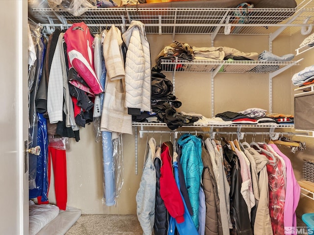 325 Stock Ln, Fernley, NV 89408 - spacious closet featuring carpet