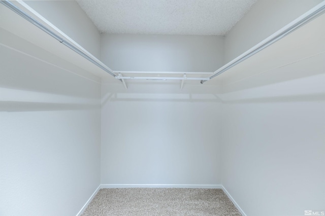 2271 Oppio St, Sparks, NV 89431 - walk in closet featuring carpet