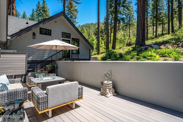 230 Power House Rd, Glenbrook, NV 89413 - photo 40