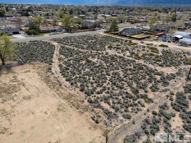 1356 Stephanie Way, Minden, NV 89423