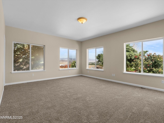 1974 Spring Rd, Fernley, NV 89408 - photo 27