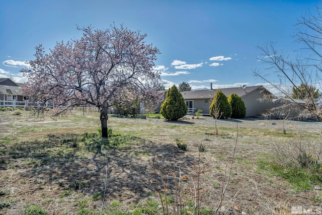 1059 Tenabo Ln, Gardnerville, NV 89410 - photo 38