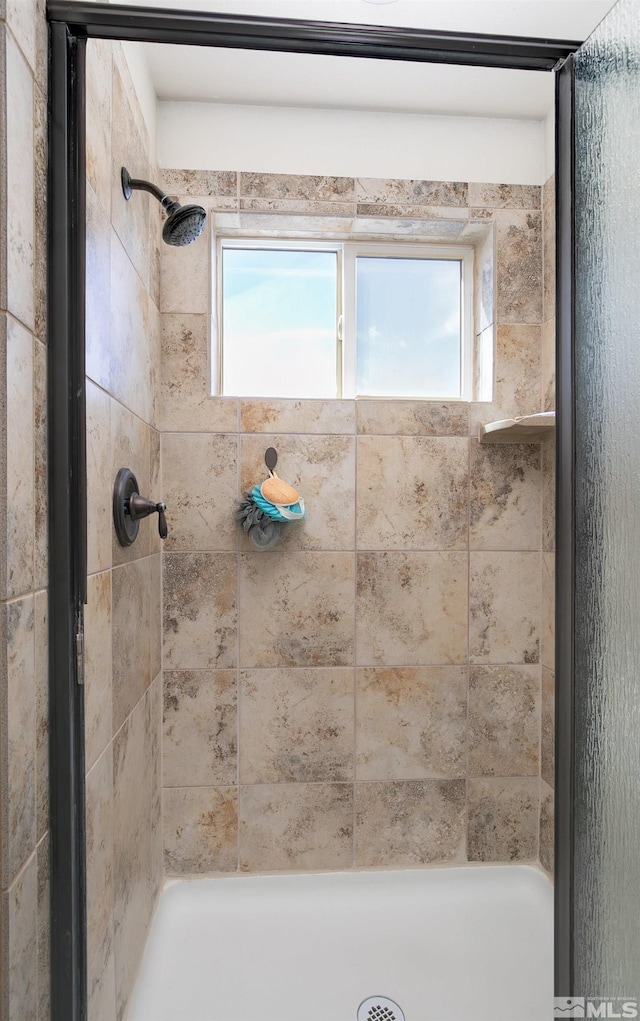 1675 Skyridge Dr, Fallon, NV 89406 - full bathroom with a stall shower