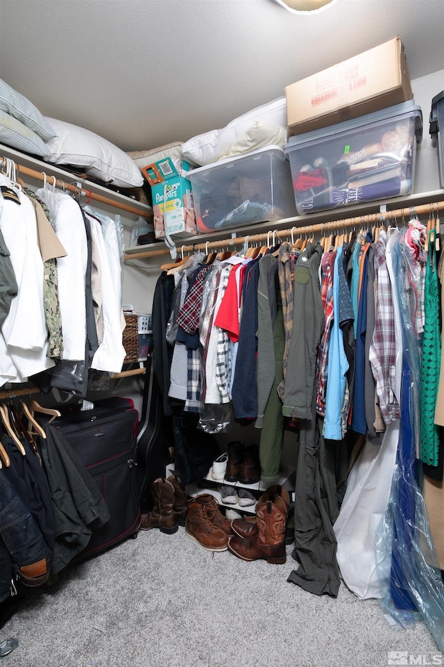 1675 Skyridge Dr, Fallon, NV 89406 - spacious closet featuring carpet flooring
